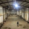 SELECCIÓN Y LAVADO DE PATATA PARA LA INDUSTRIA Y EL CONSUMO DOMESTICO